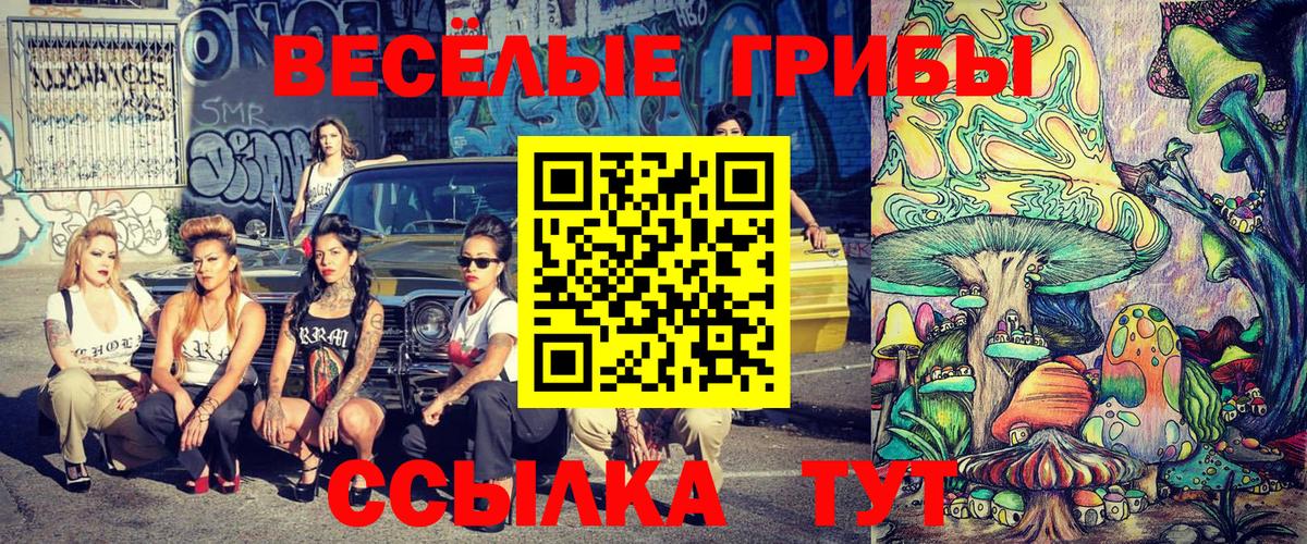 Галлюциногенные грибы Cubensis  Галлюциногенные грибы GOLDEN TEACHER  Вход с VPN  Уварово 